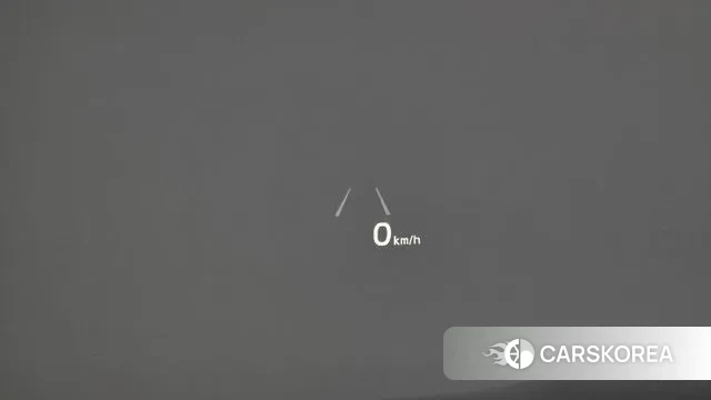 Kia More K9 2018 Серый из Кореи, фото 6