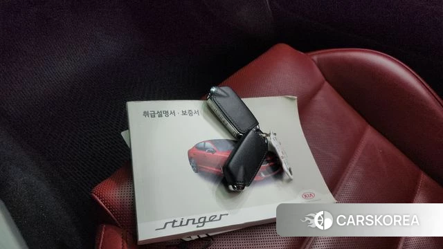 Kia Stinger 2019 Серый из Кореи, фото 6