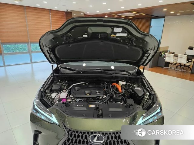 Lexus NX350h Second generation 2025 Темно-зеленый из Кореи, фото 6