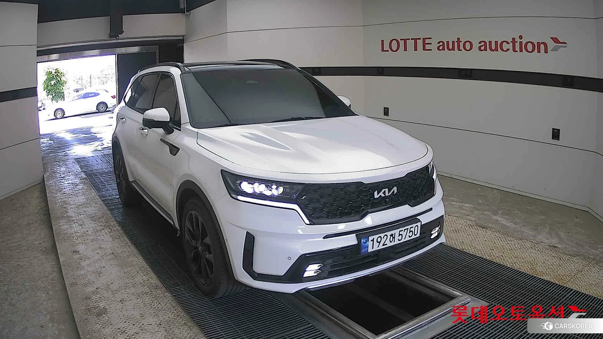 Kia Sorento 2023 Snow White Pearl (optional) из Кореи, фото 6