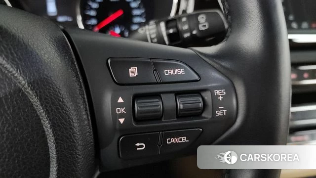 Kia The New Carnival 2020 Белый из Кореи, фото 6