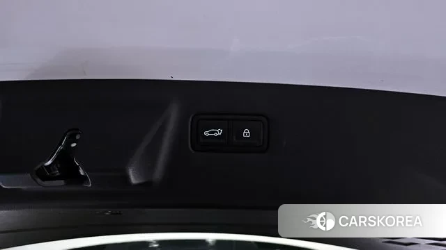 Hyundai Santa Fe (MX5) 2023 Белый из Кореи, фото 6