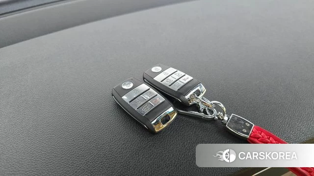 Kia The New Carnival 2019 Белый из Кореи, фото 6