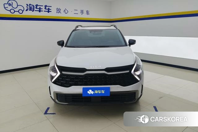 Kia Lion Platinum expands the world 2023 Белый из Китая, фото 6