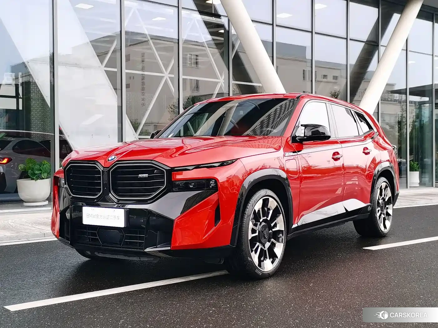 BMW XM 2024 Red/purple из Китая, фото 6