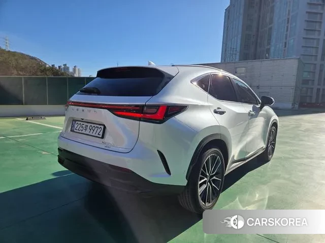 Lexus NX350h Second generation 2024 Белый из Кореи, фото 6