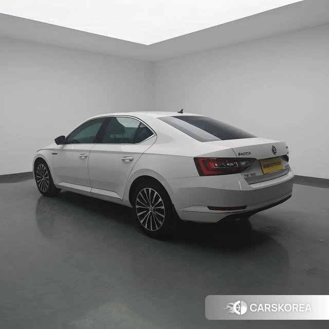 Skoda Speed pie 2018 Белый из Китая, фото 6
