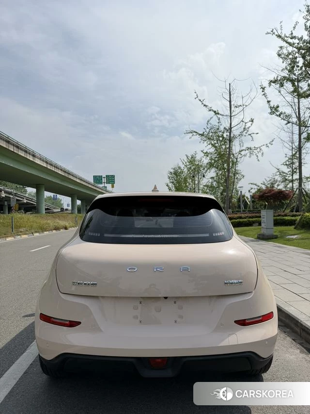 Euler Good cat 2023 Другой из Китая, фото 6