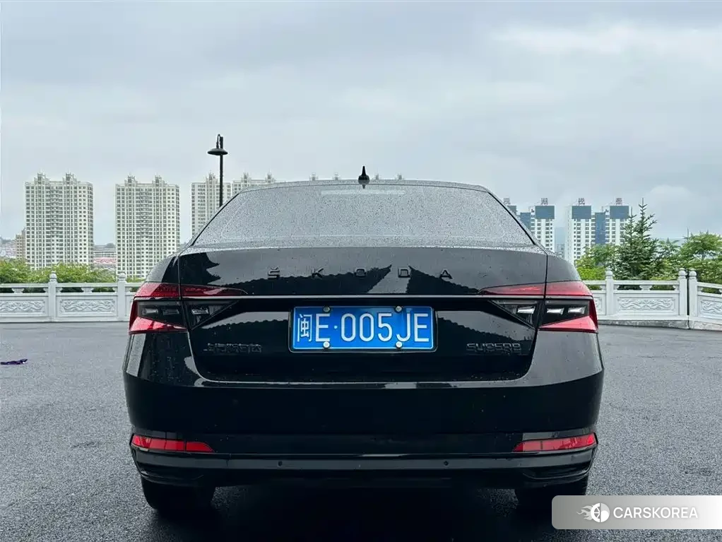 Skoda Speed pie 2023 Черный из Китая, фото 6