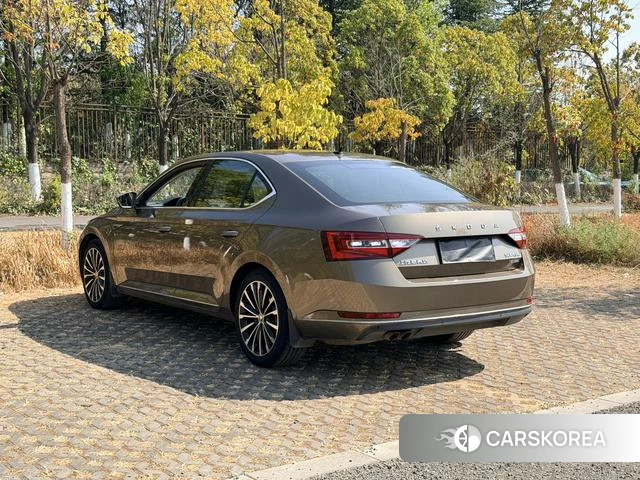 Skoda Speed pie 2019 Коричневый из Китая, фото 6