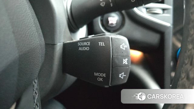 Renault Korea (Samsung) SM6 2018 Серый из Кореи, фото 6