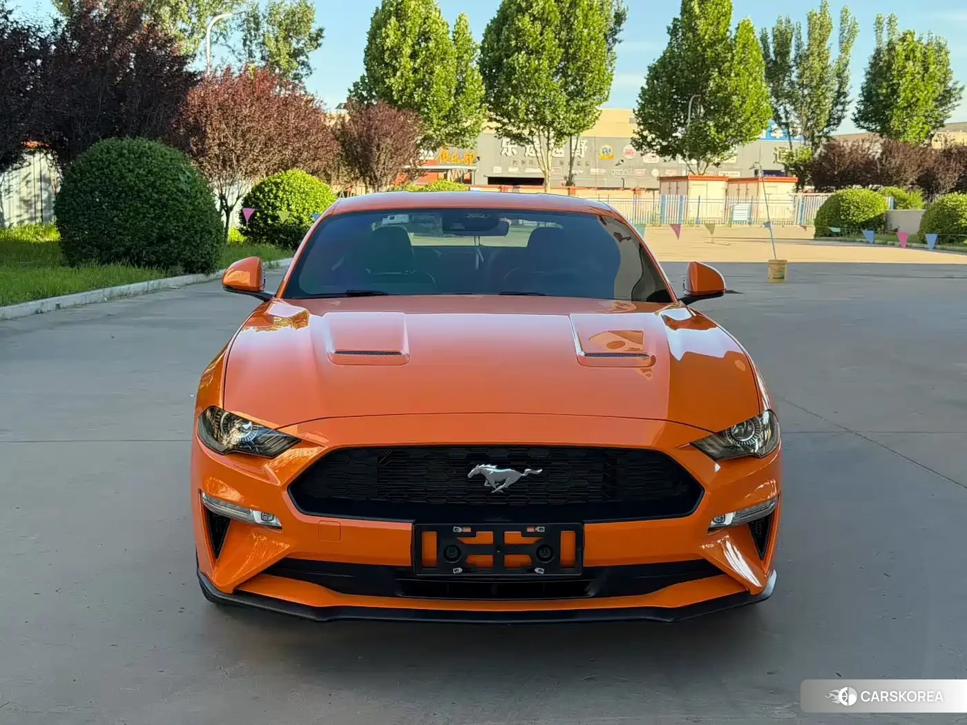 Ford Mustang 2022 Yellow/orange из Китая, фото 6
