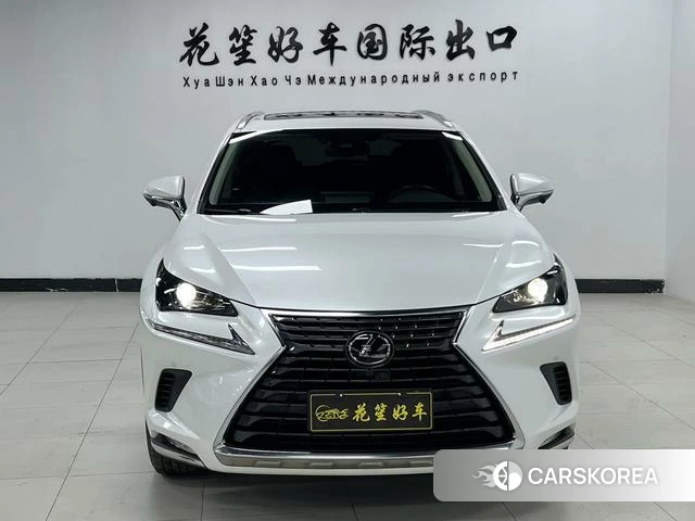 Lexus NX 2021 Белый из Китая, фото 6