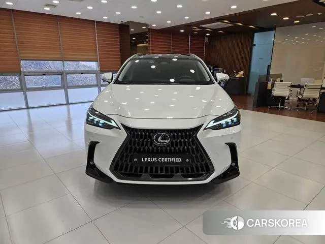 Lexus NX350h Second generation 2025 Белый из Кореи, фото 6