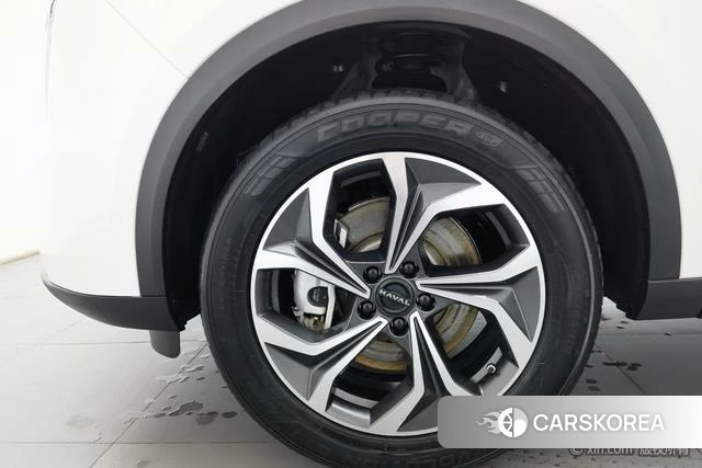 Haval Xiaolong MAX 2023 Белый из Китая, фото 6