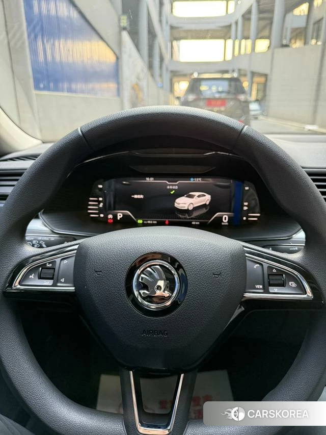 Skoda Speed pie 2026 Черный из Китая, фото 6