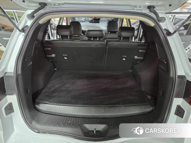 Renault Korea (Samsung) The New QM6 2019 Жемчужный цвет из Кореи, фото 6