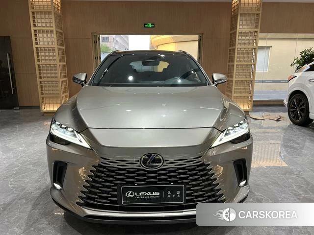 Lexus RX 2023 Серебристо-серый из Китая, фото 6