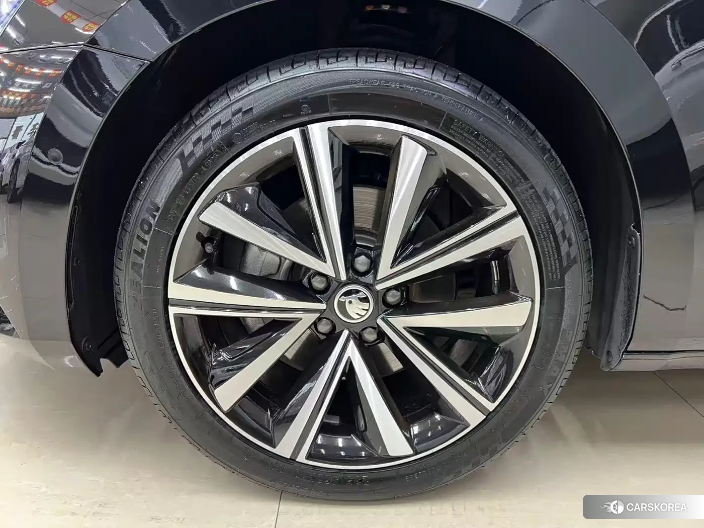 Skoda Speed pie 2024 Черный из Китая, фото 6