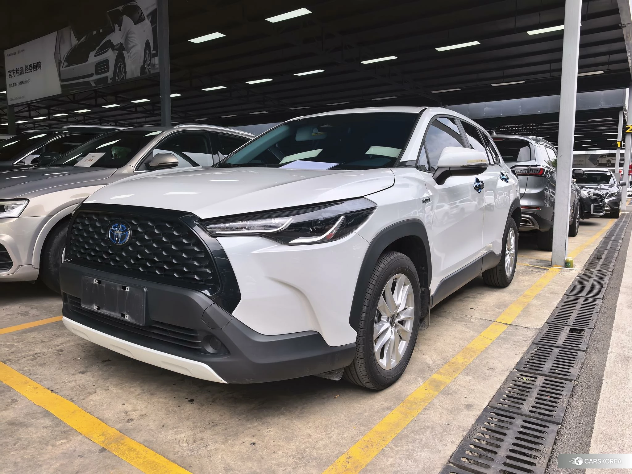 Toyota Corolla Sharp amplifier 2023 Белый из Китая, фото 6