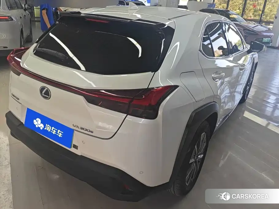 Lexus UX 2022 Белый из Китая, фото 6