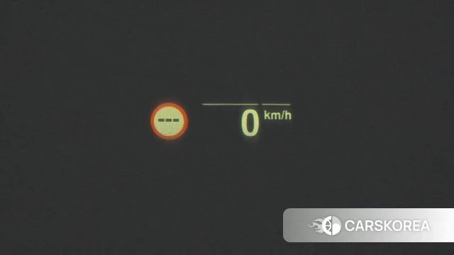 BMW X4 (G02) 2024 Белый из Кореи, фото 6