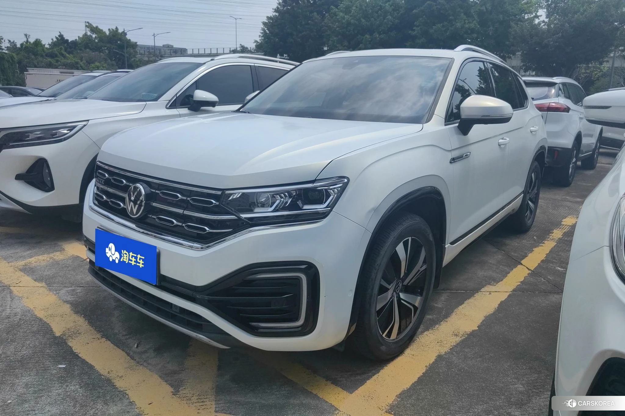 Volkswagen Tanyue PHEV 2020 Белый из Китая, фото 6