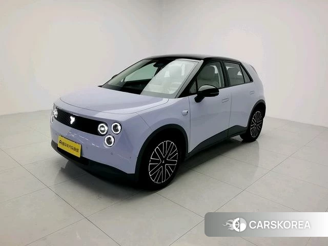 firefly firefly Unknown 2025 Фиолетовый из Китая, фото 6