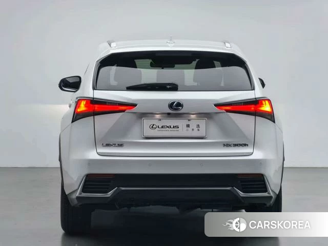 Lexus NX 2021 Белый из Китая, фото 6