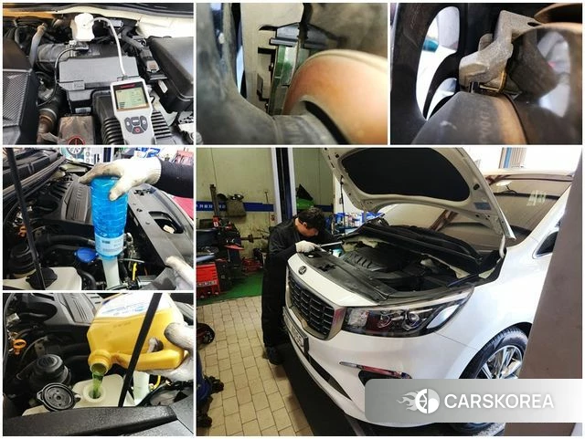 Kia The New Carnival 2018 Белый из Кореи, фото 6