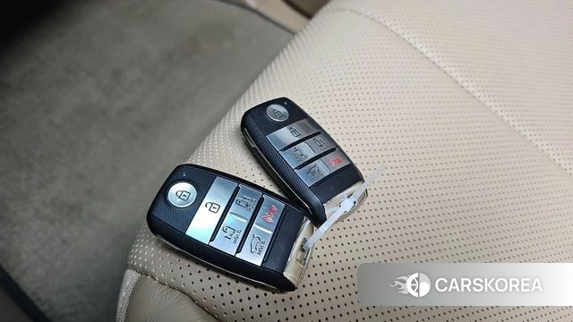 Kia The New Carnival 2019 Белый из Кореи, фото 6