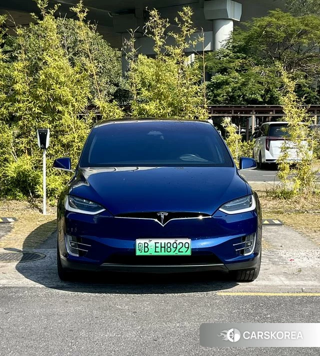 Tesla Model X 2019 Синий из Китая, фото 6