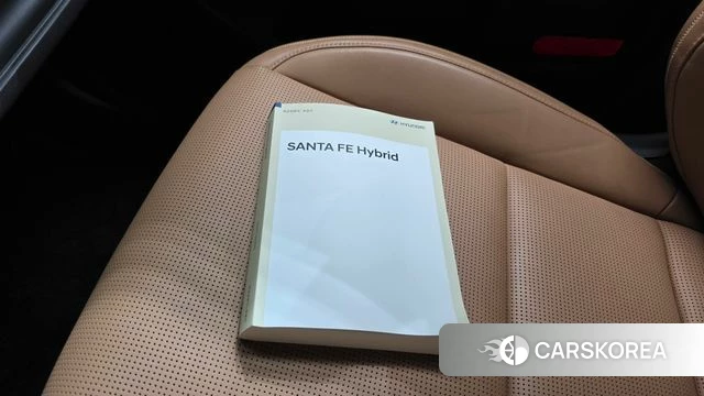 Hyundai Santa Fe (MX5) 2024 Белый из Кореи, фото 6