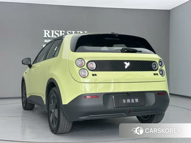 firefly firefly Unknown 2025 Желтый из Китая, фото 6