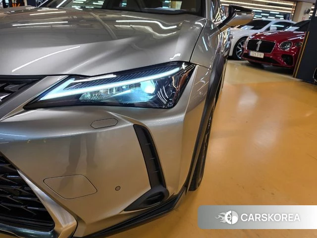 Lexus UX300h 2025 Песочный из Кореи, фото 6