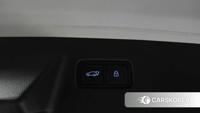 Hyundai Santa Fe (MX5) id 4879983 из Кореи 7