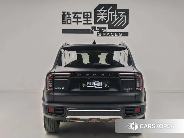 Haval Big dog id 4210284 из Китая 7