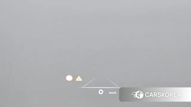 Genesis G80 (RG3) id 3082435 из Кореи 7