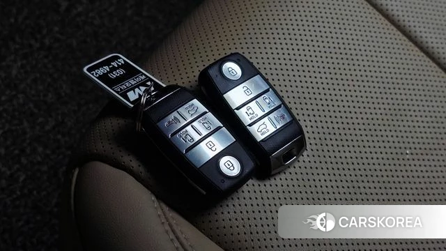 Kia The New Carnival id 4595943 из Кореи 7