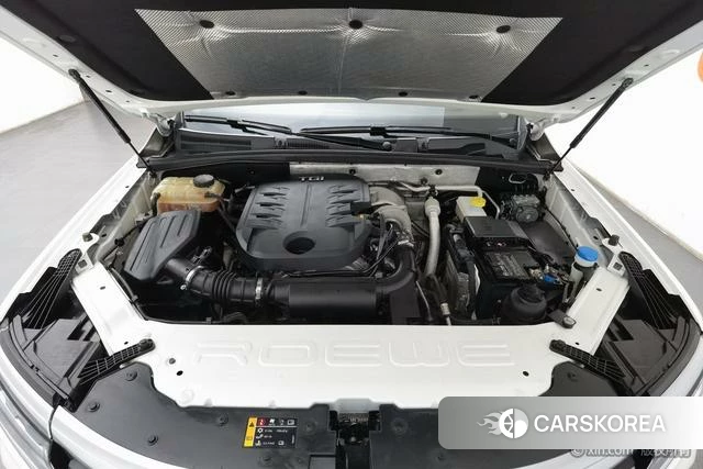 Roewe RX8 id 4254357 из Китая 7