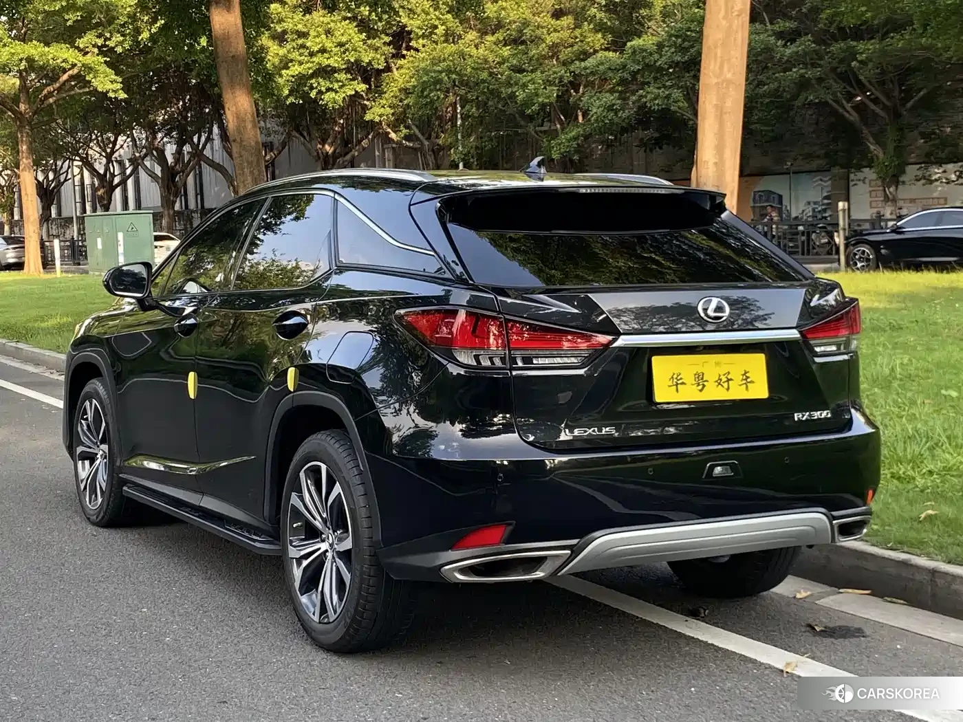 Lexus RX id 4547211 из Китая 7