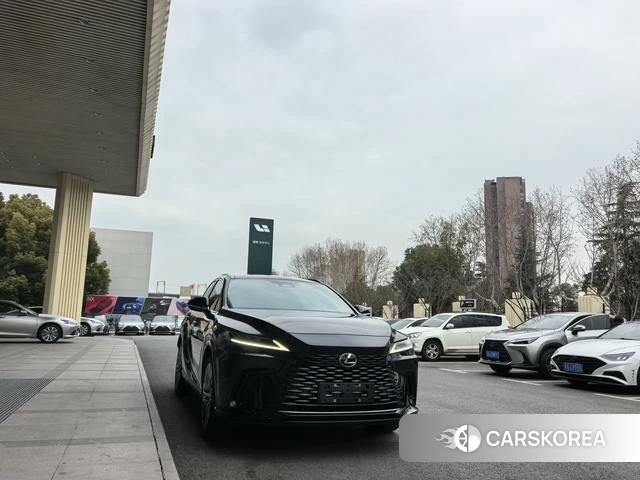 Lexus RX id 4262248 из Китая 7