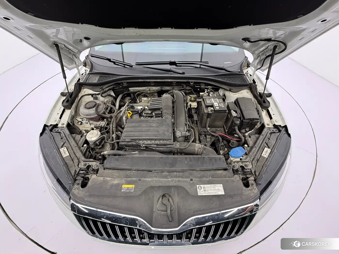 Skoda Speed pie id 4553637 из Китая 7