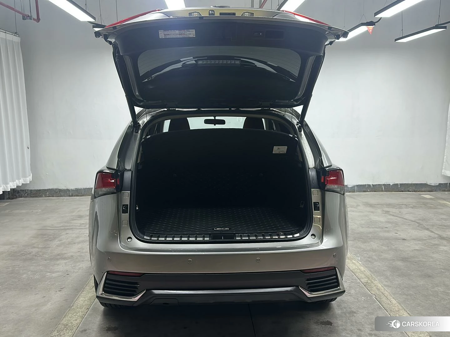 Lexus NX id 4499005 из Китая 7