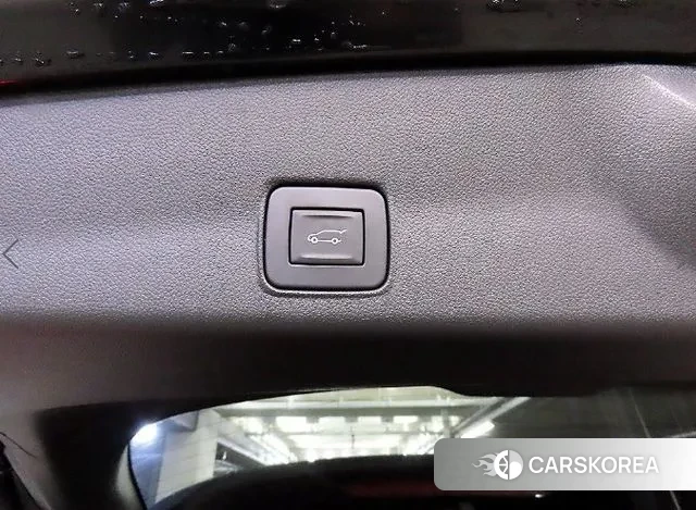 Chevrolet (GM Daewoo) Trailblazer id 3600261 из Кореи 7