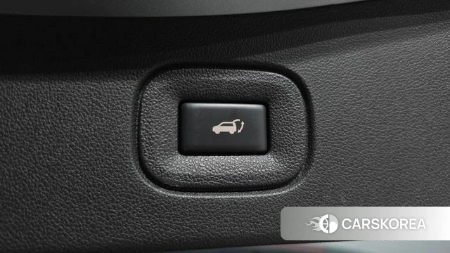 Renault Korea (Samsung) The New QM6 id 4941388 из Кореи 7