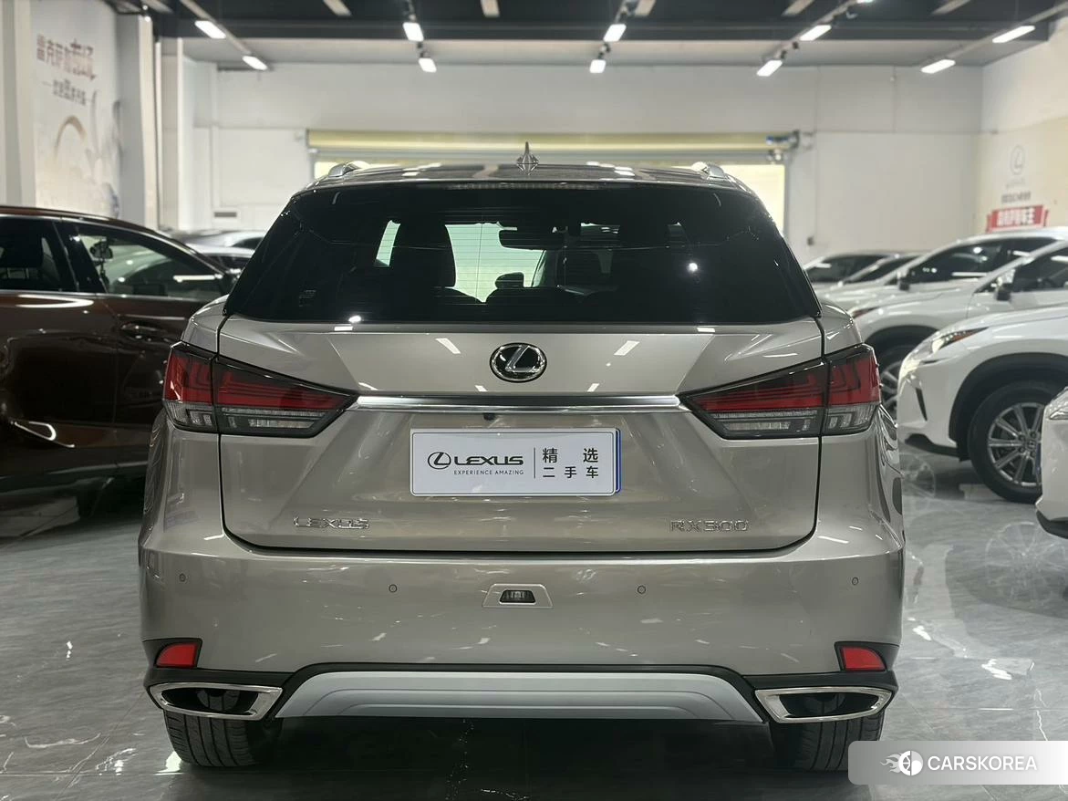 Lexus RX 2019 Серебристо-серый из Китая, фото 6