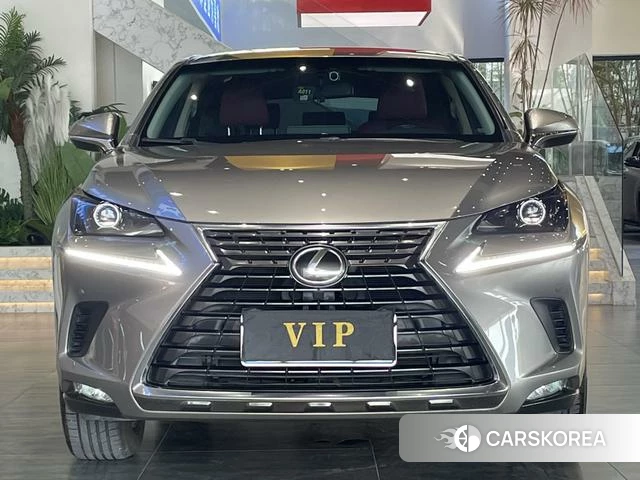 Lexus NX id 4261882 из Китая 7
