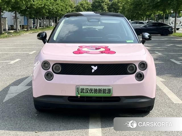 firefly firefly Unknown id 3993377 из Китая 7