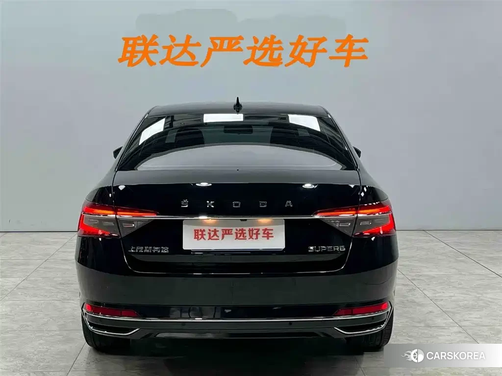 Skoda Speed pie id 4515526 из Китая 7
